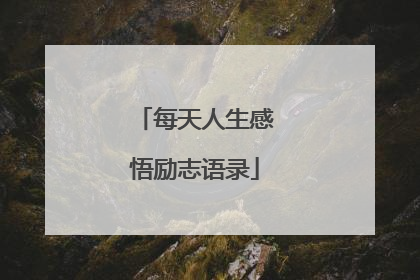 每天人生感悟励志语录