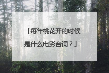 每年桃花开的时候是什么电影台词？