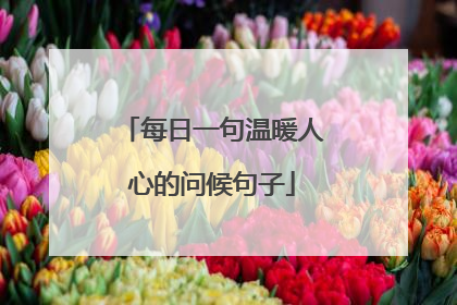 每日一句温暖人心的问候句子