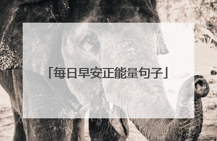 每日早安正能量句子