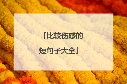 比较伤感的短句子大全