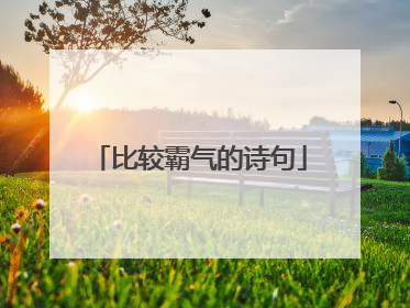 比较霸气的诗句