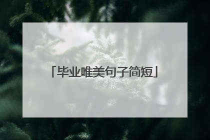 毕业唯美句子简短