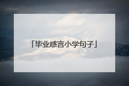 毕业感言小学句子