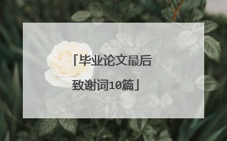 毕业论文最后致谢词10篇