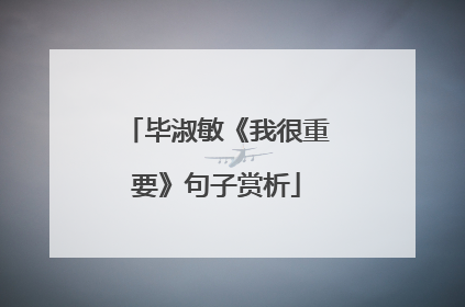 毕淑敏《我很重要》句子赏析