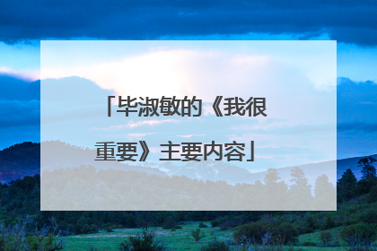 毕淑敏的《我很重要》主要内容