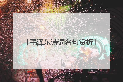 毛泽东诗词名句赏析