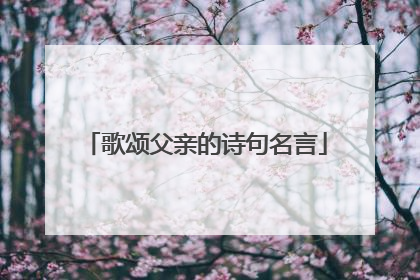 歌颂父亲的诗句名言