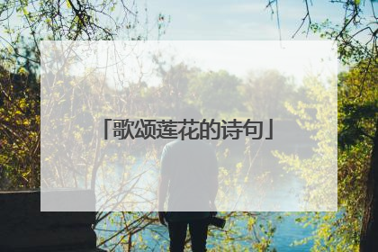 歌颂莲花的诗句