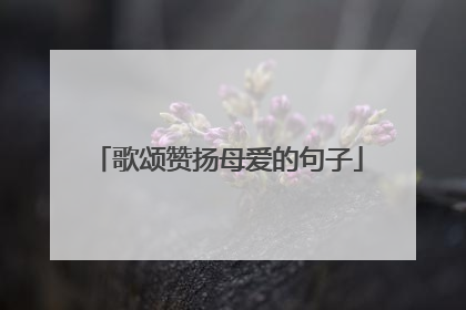 歌颂赞扬母爱的句子