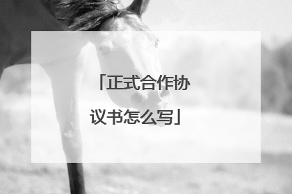 正式合作协议书怎么写