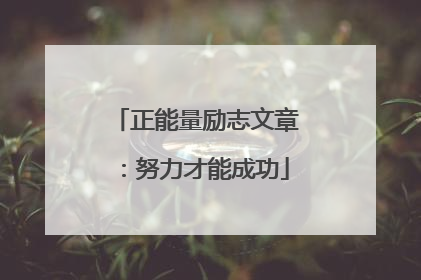 正能量励志文章:努力才能成功