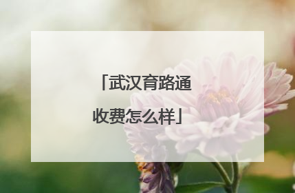武汉育路通收费怎么样