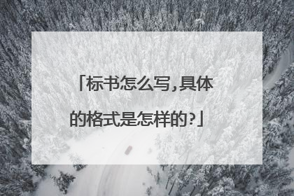 标书怎么写,具体的格式是怎样的?