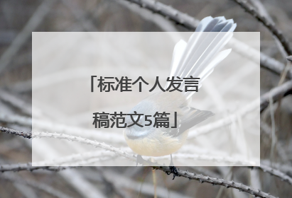 标准个人发言稿范文5篇