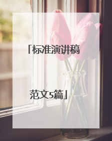 标准演讲稿范文5篇