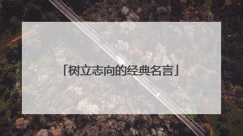 树立志向的经典名言