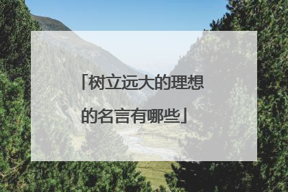 树立远大的理想的名言有哪些