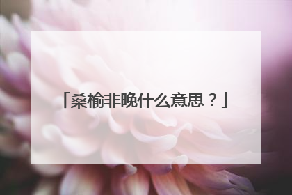 桑榆非晚什么意思？