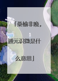 桑榆非晚,通元识微是什么意思