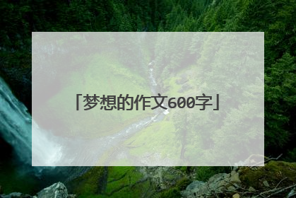 梦想的作文600字