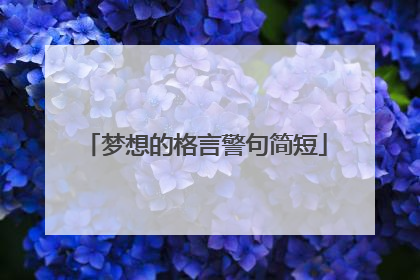 梦想的格言警句简短