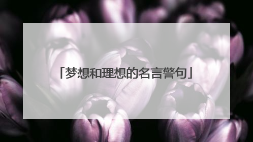 梦想和理想的名言警句