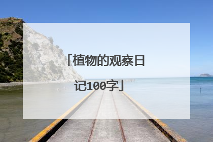 植物的观察日记100字