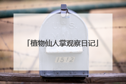 植物仙人掌观察日记