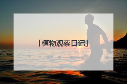 植物观察日记