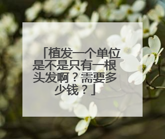 植发一个单位是不是只有一根头发啊？需要多少钱？