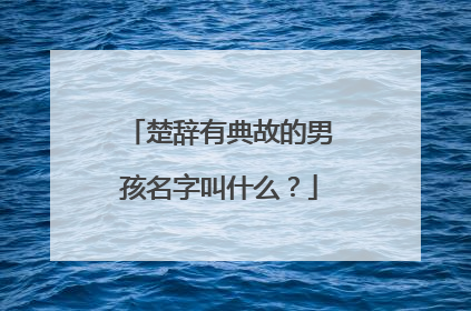 楚辞有典故的男孩名字叫什么？