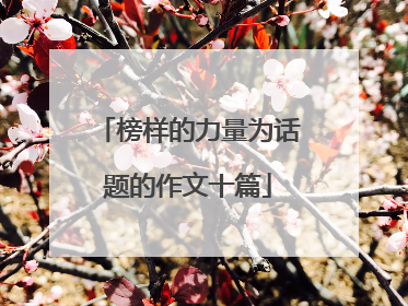 榜样的力量为话题的作文十篇