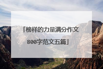 榜样的力量满分作文800字范文五篇