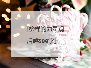 榜样的力量观后感500字