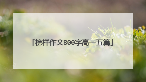 榜样作文800字高一五篇