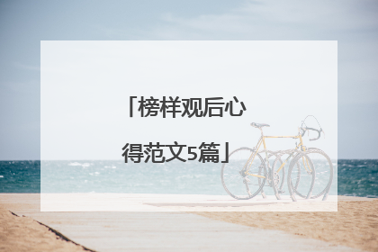 榜样观后心得范文5篇