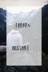榜样5观后感
