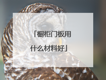 橱柜门板用什么材料好