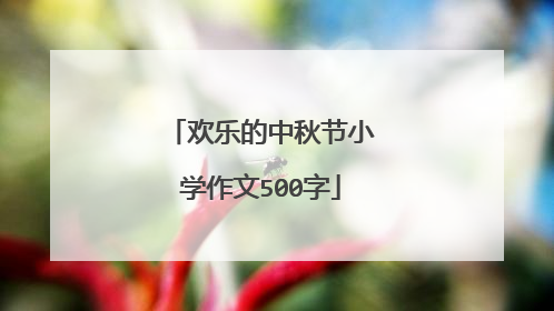 欢乐的中秋节小学作文500字