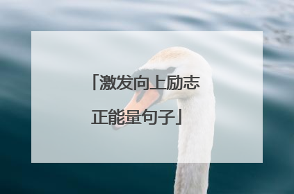 激发向上励志正能量句子