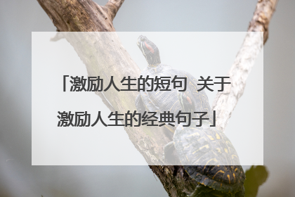 激励人生的短句 关于激励人生的经典句子