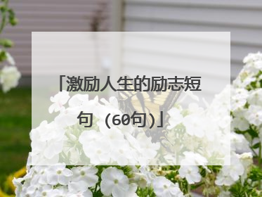 激励人生的励志短句 (60句)