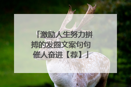 激励人生努力拼搏的发圈文案句句催人奋进【荐】