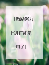 激励努力上进正能量句子