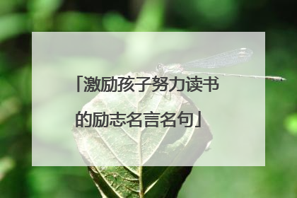激励孩子努力读书的励志名言名句