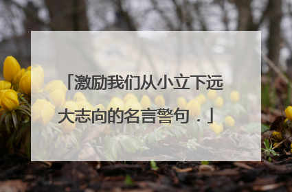 激励我们从小立下远大志向的名言警句．