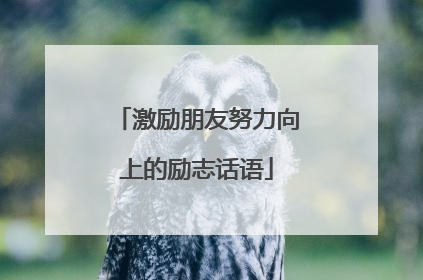 激励朋友努力向上的励志话语