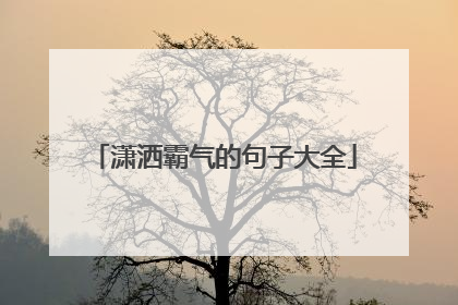 潇洒霸气的句子大全